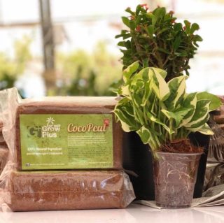 ขุยมะพร้าวอัดก้อน โคโค่พีท COCO PEAT